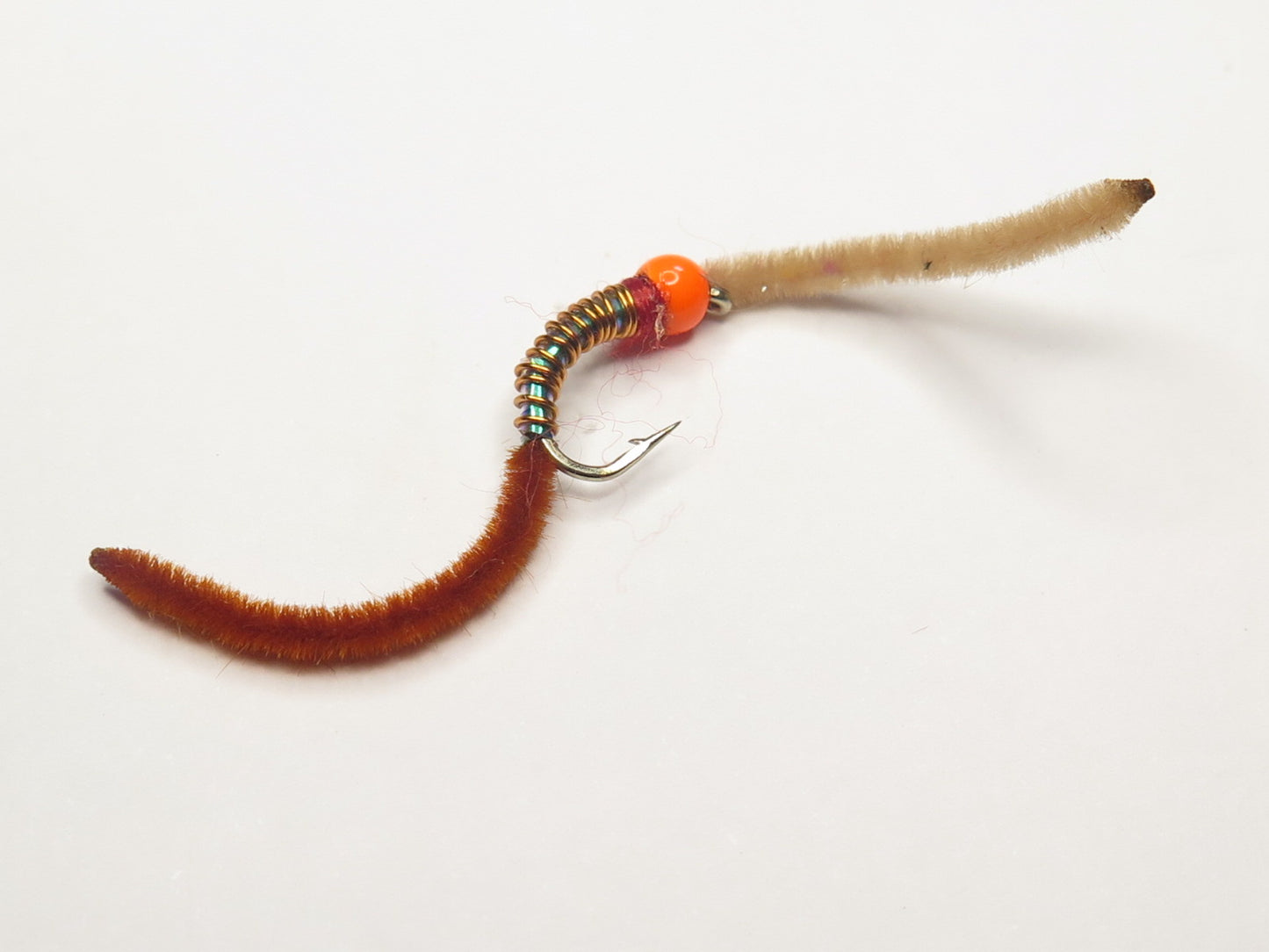 Ring Worm