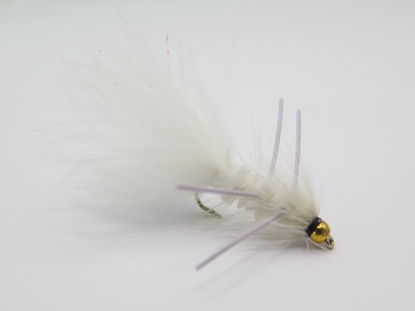 Dirty Bugger White