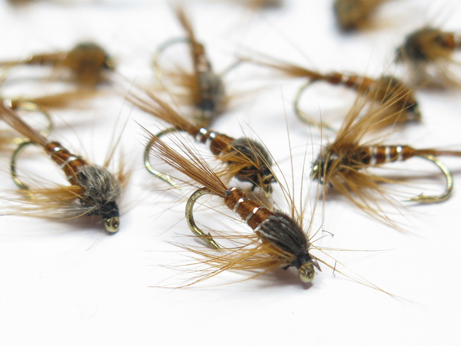 Dirty Nymph