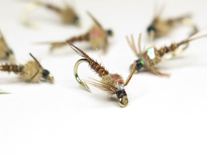 Flash Back Pheasant tail, Dirty Flys, Fishing Flies New Zealand, Best fly-fishing fly, Pat Swift, Category 3, Manic Tackle, Stu's Flies, Trout fishing NZ. South Island fly fishing. Turangi Trout fishing.
