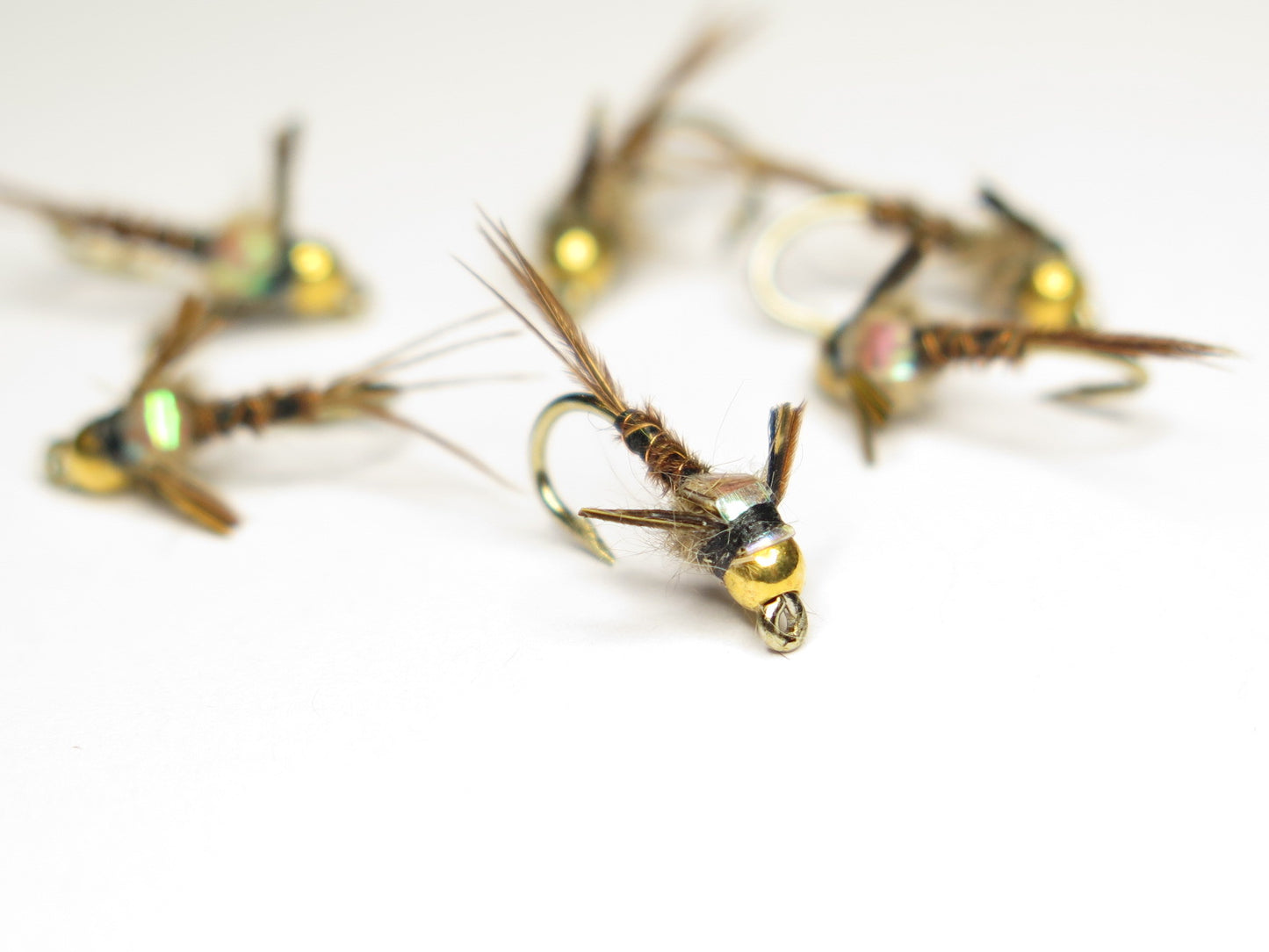 Flash Back Pheasant, Dirty Flys, Fishing Flies New Zealand, Best fly-fishing fly, Pat Swift, Category 3, Manic Tackle, Stu's Flies, Trout fishing NZ. South Island fly fishing. Turangi Trout fishing.
