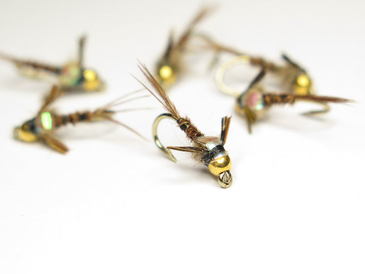 Flash Back Pheasant, Dirty Flys, Fishing Flies New Zealand, Best fly-fishing fly, Pat Swift, Category 3, Manic Tackle, Stu's Flies, Trout fishing NZ. South Island fly fishing. Turangi Trout fishing.