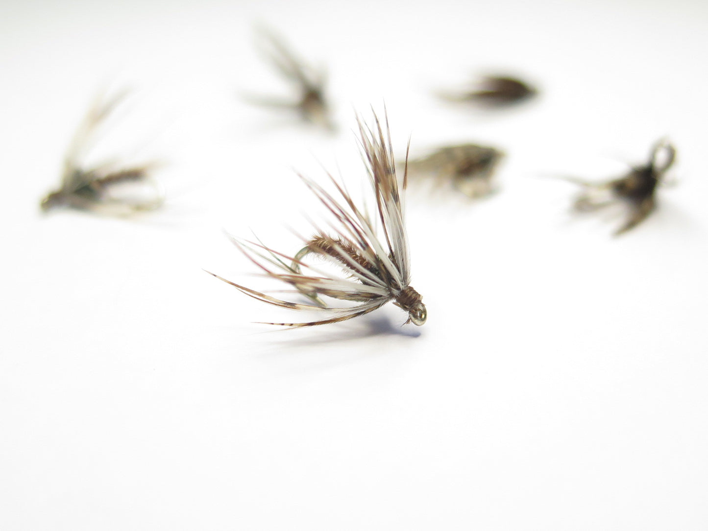 Spider Fly, Dirty Flys, Fishing Flies New Zealand, Best fly-fishing fly, Pat Swift, Category 3, Manic Tackle, Stu's Flies, Trout fishing NZ. South Island fly fishing. Turangi Trout fishing.