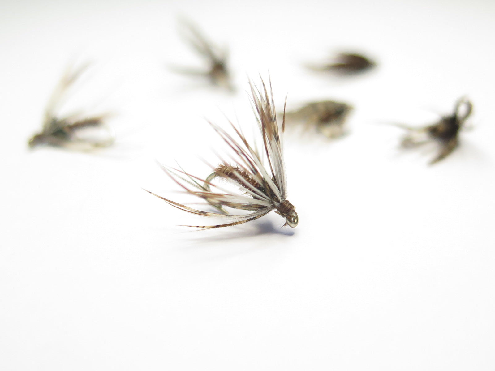 Spider Fly, Dirty Flys, Fishing Flies New Zealand, Best fly-fishing fly, Pat Swift, Category 3, Manic Tackle, Stu's Flies, Trout fishing NZ. South Island fly fishing. Turangi Trout fishing.