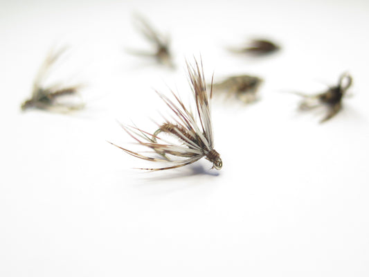 Spider Fly, Dirty Flys, Fishing Flies New Zealand, Best fly-fishing fly, Pat Swift, Category 3, Manic Tackle, Stu's Flies, Trout fishing NZ. South Island fly fishing. Turangi Trout fishing.