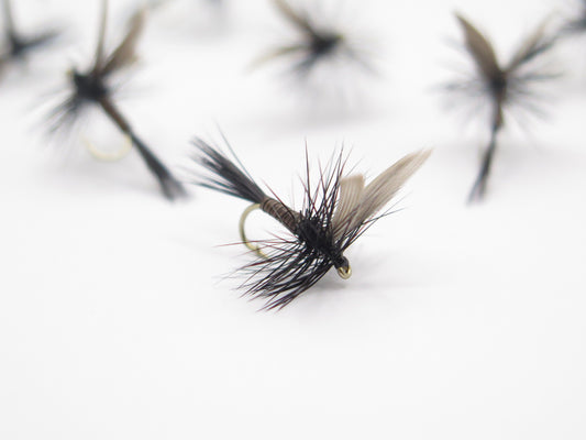 Cicada pattern, Dirty Flys, Fishing Flies New Zealand, Best fly-fishing fly, Pat Swift, Category 3, Manic Tackle, Stu's Flies, Trout fishing NZ. South Island fly fishing. Turangi Trout fishing.