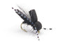 Cicada fly. Dirty Flys, Dry Fly