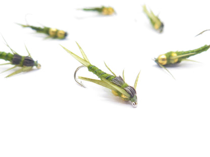 Double Deep Stone Olive