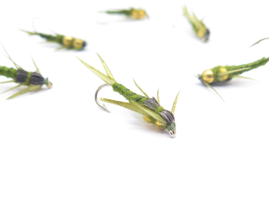 Double Deep Stone Olive
