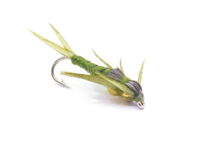 Double Deep Stone Olive
