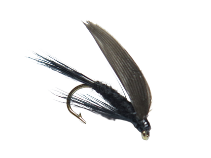 ウィー・グナティ