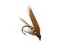 ウィー カウ パディ